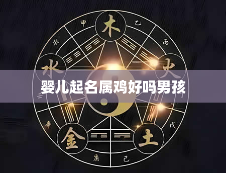 婴儿起名属鸡好吗男孩