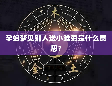 孕妇梦见别人送小雏菊是什么意思？