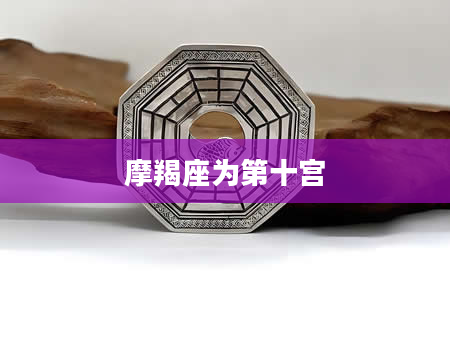 摩羯座为第十宫