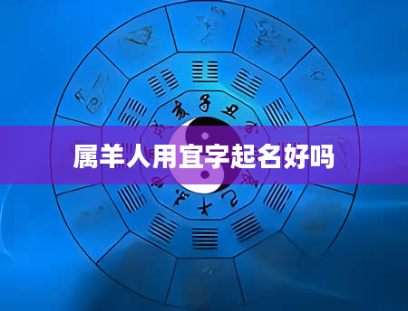 属羊人用宜字起名好吗