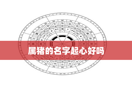 属猪的名字起心好吗