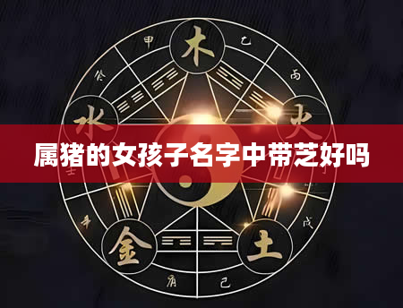 属猪的女孩子名字中带芝好吗