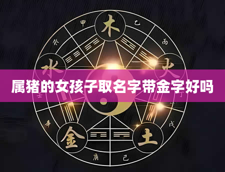 属猪的女孩子取名字带金字好吗