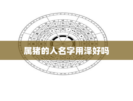 属猪的人名字用泽好吗