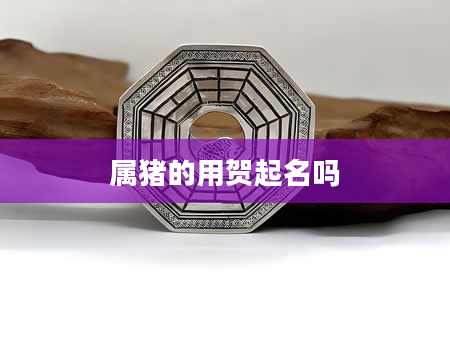 属猪的用贺起名吗