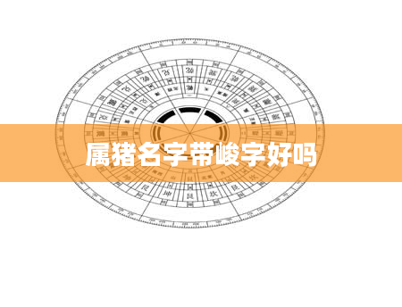 属猪名字带峻字好吗