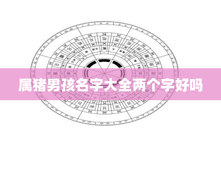 属猪男孩名字大全两个字好吗