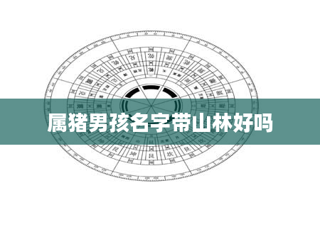 属猪男孩名字带山林好吗
