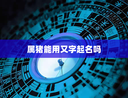 属猪能用又字起名吗