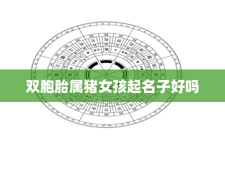 双胞胎属猪女孩起名子好吗