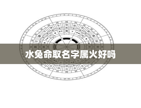 水兔命取名字属火好吗
