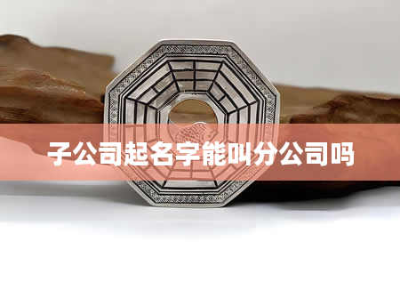 子公司起名字能叫分公司吗