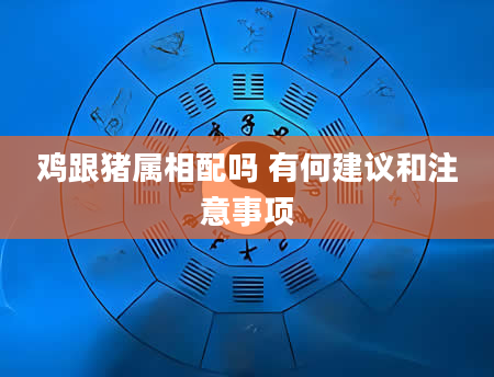 鸡跟猪属相配吗 有何建议和注意事项