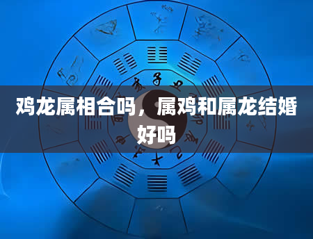 鸡龙属相合吗,属鸡和属龙结婚好吗