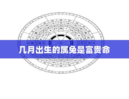 几月出生的属兔是富贵命