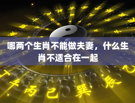 哪两个生肖不能做夫妻,什么生肖不适合在一起