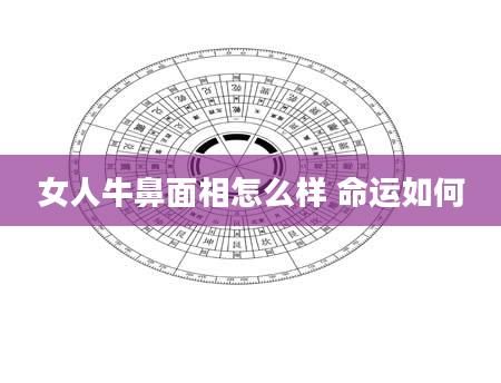 女人牛鼻面相怎么样 命运如何