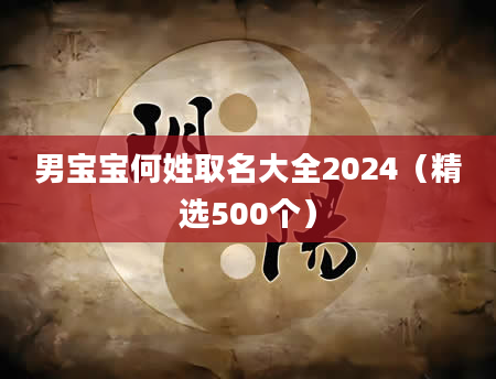 男宝宝何姓取名大全2024(精选500个)