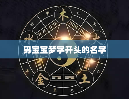 男宝宝梦字开头的名字