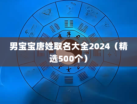 男宝宝唐姓取名大全2024(精选500个)