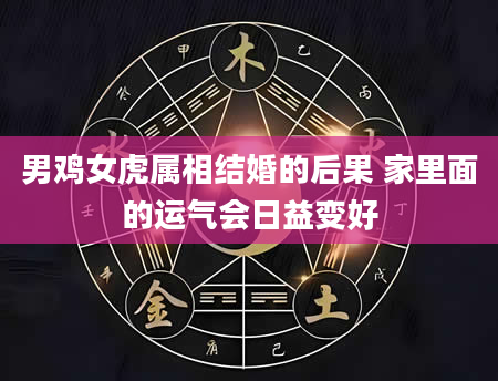 男鸡女虎属相结婚的后果 家里面的运气会日益变好