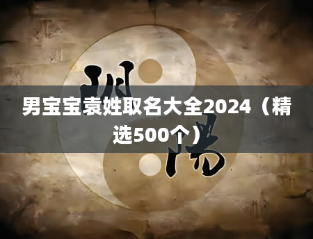 男宝宝袁姓取名大全2024(精选500个)