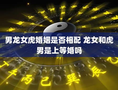 男龙女虎婚姻是否相配 龙女和虎男是上等婚吗