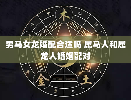 男马女龙婚配合适吗 属马人和属龙人婚姻配对