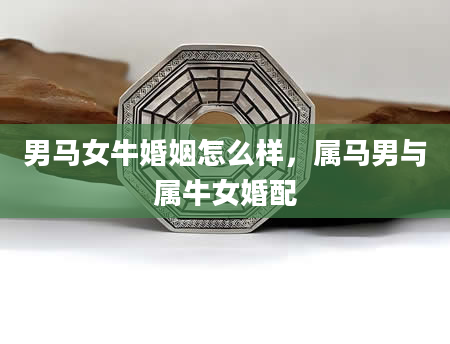 男马女牛婚姻怎么样,属马男与属牛女婚配