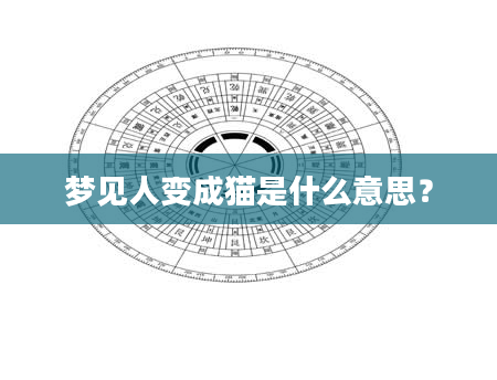 梦见人变成猫是什么意思?