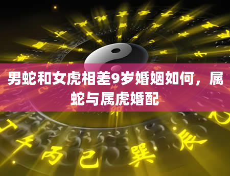 男蛇和女虎相差9岁婚姻如何,属蛇与属虎婚配