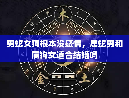 男蛇女狗根本没感情,属蛇男和属狗女适合结婚吗