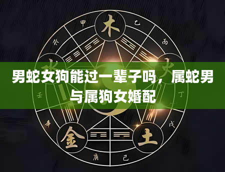 男蛇女狗能过一辈子吗,属蛇男与属狗女婚配