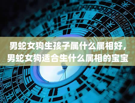 男蛇女狗生孩子属什么属相好,男蛇女狗适合生什么属相的宝宝