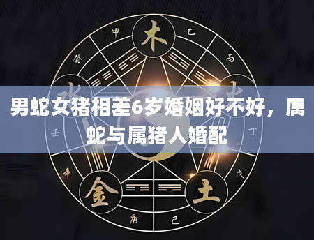 男蛇女猪相差6岁婚姻好不好,属蛇与属猪人婚配