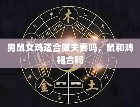 男鼠女鸡适合做夫妻吗,鼠和鸡相合吗