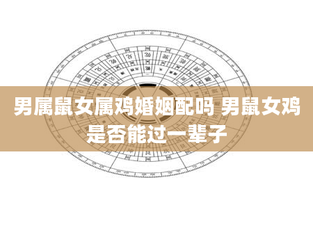 男属鼠女属鸡婚姻配吗 男鼠女鸡是否能过一辈子