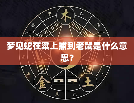 梦见蛇在粱上捕到老鼠是什么意思?