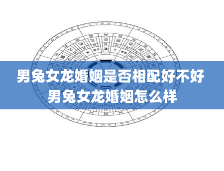 男兔女龙婚姻是否相配好不好 男兔女龙婚姻怎么样