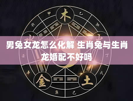 男兔女龙怎么化解 生肖兔与生肖龙婚配不好吗