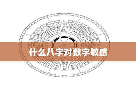 什么八字对数字敏感
