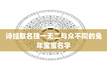 诗经取名独一无二与众不同的兔年宝宝名字