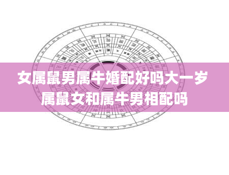 女属鼠男属牛婚配好吗大一岁 属鼠女和属牛男相配吗