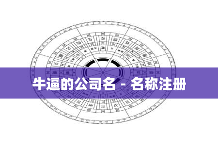 牛逼的公司名 - 名称注册