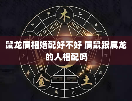 鼠龙属相婚配好不好 属鼠跟属龙的人相配吗