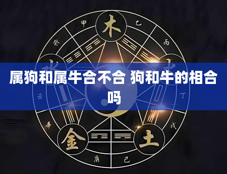 属狗和属牛合不合 狗和牛的相合吗