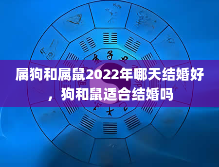 属狗和属鼠2022年哪天结婚好,狗和鼠适合结婚吗