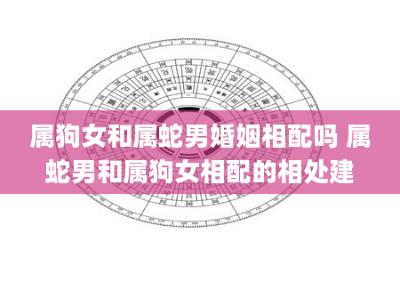属狗女和属蛇男婚姻相配吗 属蛇男和属狗女相配的相处建