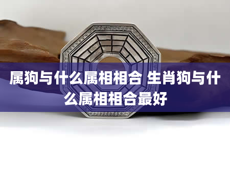 属狗与什么属相相合 生肖狗与什么属相相合最好
