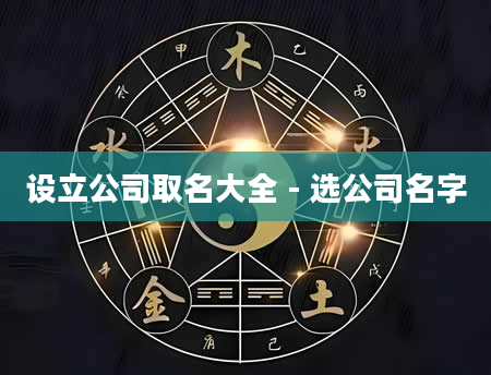 设立公司取名大全 - 选公司名字